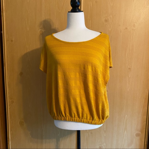 Madewell • Mustard Yellow Pointelle Knit Short-Sleeve Crop Top - Picture 4 of 10